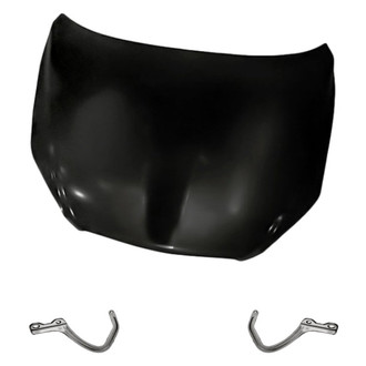 Replacement - 3-Piece (Hood Panel, Driver and Passenger Side Hood Hinge) (Standard Line)