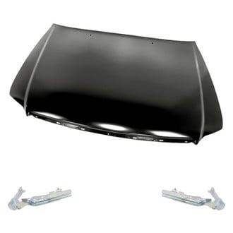 Replacement - 3-Piece (Hood Panel, Driver and Passenger Side Hood Hinge) (Standard Line)
