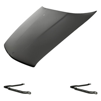 Replacement - 3-Piece (Hood Panel, Driver and Passenger Side Hood Hinge) (Standard Line)