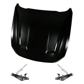 Replacement - 3-Piece (Hood Panel, Driver and Passenger Side Hood Hinge) (Standard Line)