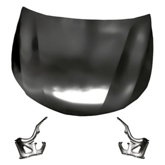 Replacement - 3-Piece (Hood Panel, Driver and Passenger Side Hood Hinge) (Standard Line)