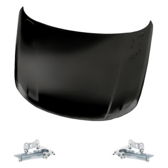 Replacement - 3-Piece (Hood Panel, Driver and Passenger Side Hood Hinge) (Standard Line)