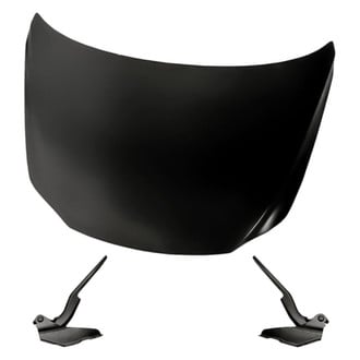 Replacement - 3-Piece (Hood Panel, Driver and Passenger Side Hood Hinge) (Standard Line)