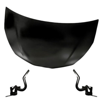 Replacement - 3-Piece (Hood Panel, Driver and Passenger Side Hood Hinge) (Standard Line)