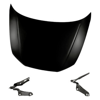 Replacement - 3-Piece (Hood Panel, Driver and Passenger Side Hood Hinge) (Standard Line)