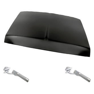 Replacement - 3-Piece (Hood Panel, Driver and Passenger Side Hood Hinge) (Standard Line)