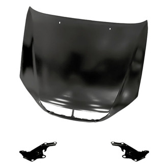 Replacement - 3-Piece (Hood Panel, Driver and Passenger Side Hood Hinge) (Standard Line)