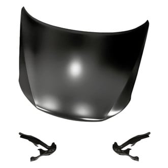 Replacement - 3-Piece (Hood Panel, Driver and Passenger Side Hood Hinge) (Standard Line)