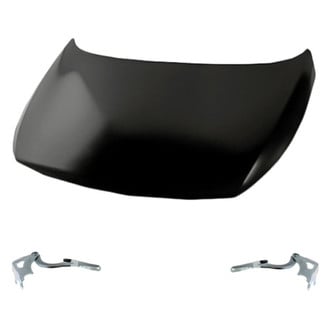 Replacement - 3-Piece (Hood Panel, Driver and Passenger Side Hood Hinge) (Standard Line)