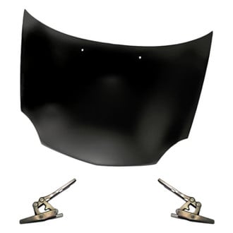 Replacement - 3-Piece (Hood Panel, Driver and Passenger Side Hood Hinge) (Standard Line)