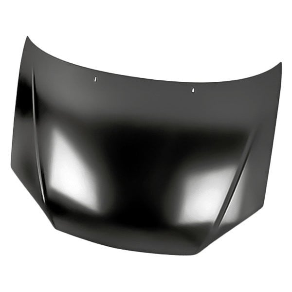 2005 Ford Focus Replacement Hoods - Hinges, Supports | CARiD