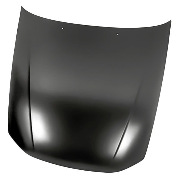 Replacement - Hood Panel