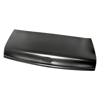 Replacement - Hood Panel (Standard Line)