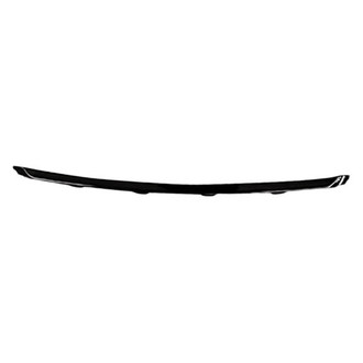 Replacement - Front Center Bumper Cover Molding (Standard Line)