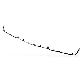 Replacement - Front Lower Bumper Cover Molding (Standard Line)