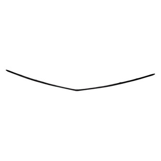 Replacement - Front Center Bumper Molding (Standard Line)