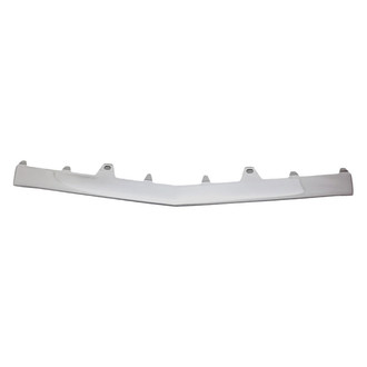 Replacement - Front Lower Bumper Cover Molding (Standard Line)