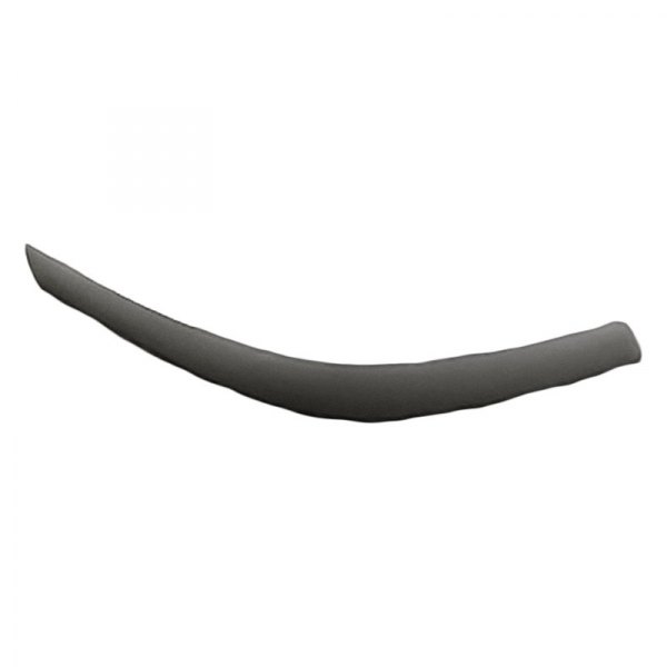 Replacement - Front Passenger Side Bumper Pad Molding