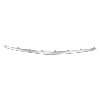Replacement - Front Lower Bumper Cover Molding (Standard Line)