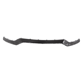Replacement - Front Lower Bumper Cover Grille Molding (Standard Line)