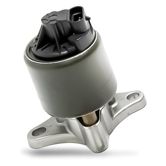 Replacement - New EGR Valve