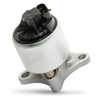 Replacement - New EGR Valve