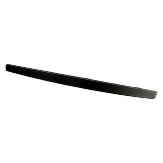 Replacement - Tailgate Molding (Standard Line)