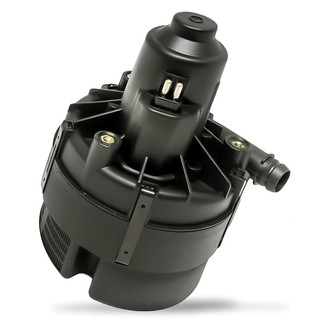 Replacement - Secondary Air Injection Pump