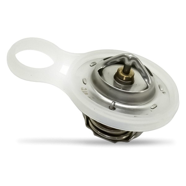 Replacement - Engine Coolant Thermostat w/o Housing and with Gasket