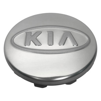 Replacement - Painted Silver Wheel Center Cap