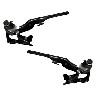 Replacement - Driver and Passenger Side Hood Hinge Set (Standard Line)