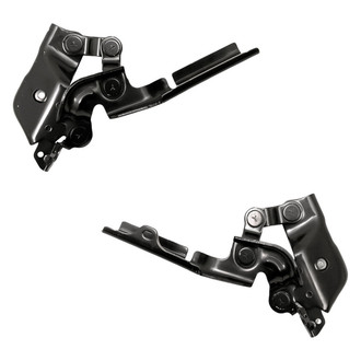 Replacement - Driver and Passenger Side Hood Hinge Set (Standard Line)