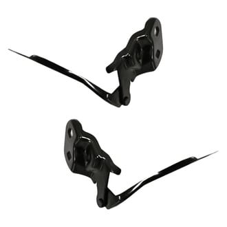 Replacement® - Hood Hinge