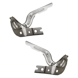 Replacement® - Hood Hinge