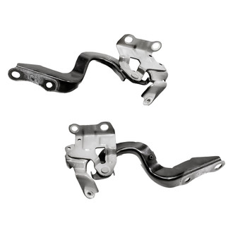 Replacement® - Hood Hinge