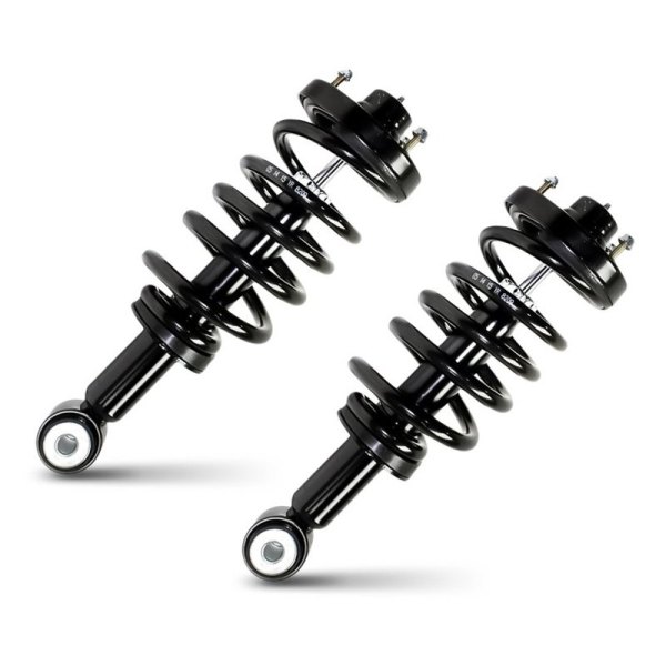 Replacement - Rear Strut Assembly Set