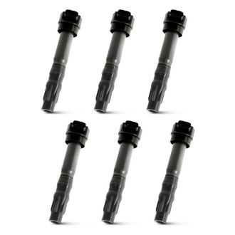 Replacement - Ignition Coil Set