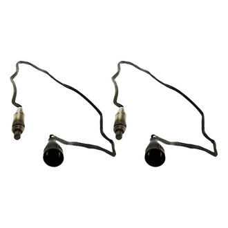 Replacement - Oxygen Sensor Set
