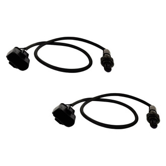 Replacement - Oxygen Sensor Set