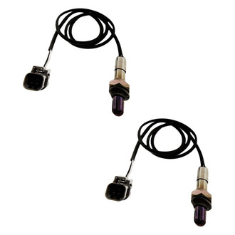 Replacement - Oxygen Sensor Set
