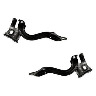 Replacement - Driver and Passenger Side Hood Hinge Set (Standard Line)