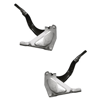 Replacement - Driver and Passenger Side Hood Hinge Set (Standard Line)