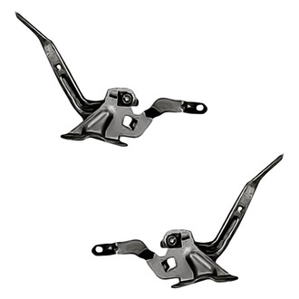 Replacement® - Hood Hinge