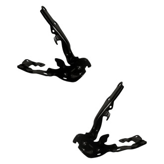 Replacement - Driver and Passenger Side Hood Hinge Set (Standard Line)