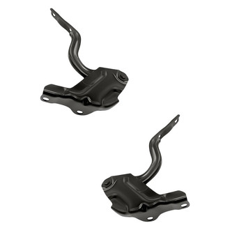 Replacement® - Hood Hinge