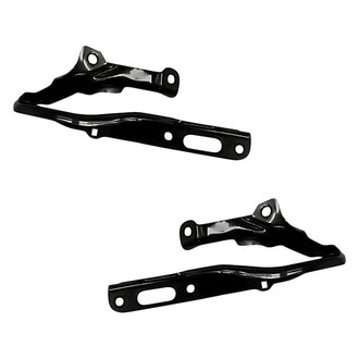 Replacement - Driver and Passenger Side Hood Hinge Set (Standard Line)