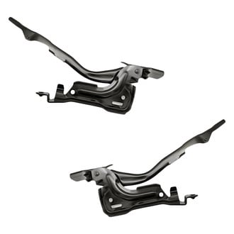 Replacement - Driver and Passenger Side Hood Hinge Set (Standard Line)