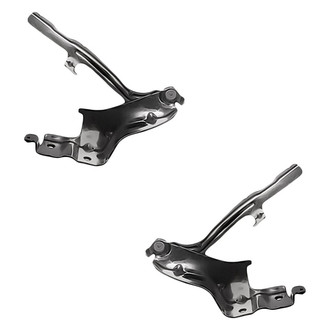 Replacement - Driver and Passenger Side Hood Hinge Set (Standard Line)
