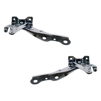 Replacement - Driver and Passenger Side Hood Hinge Set (Standard Line)