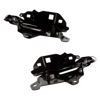 Replacement - Driver and Passenger Side Hood Hinge Set (Standard Line)